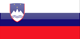 Slovenia Flag